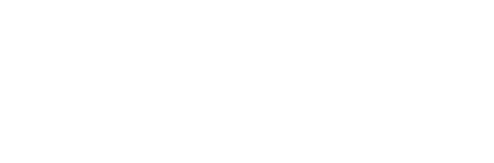 AVA Remote logo