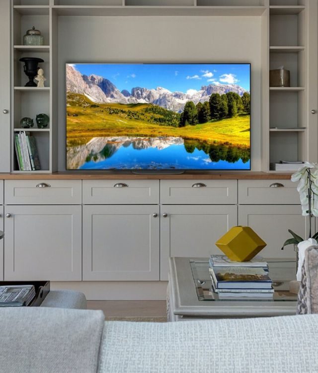 Sony Bravia TV