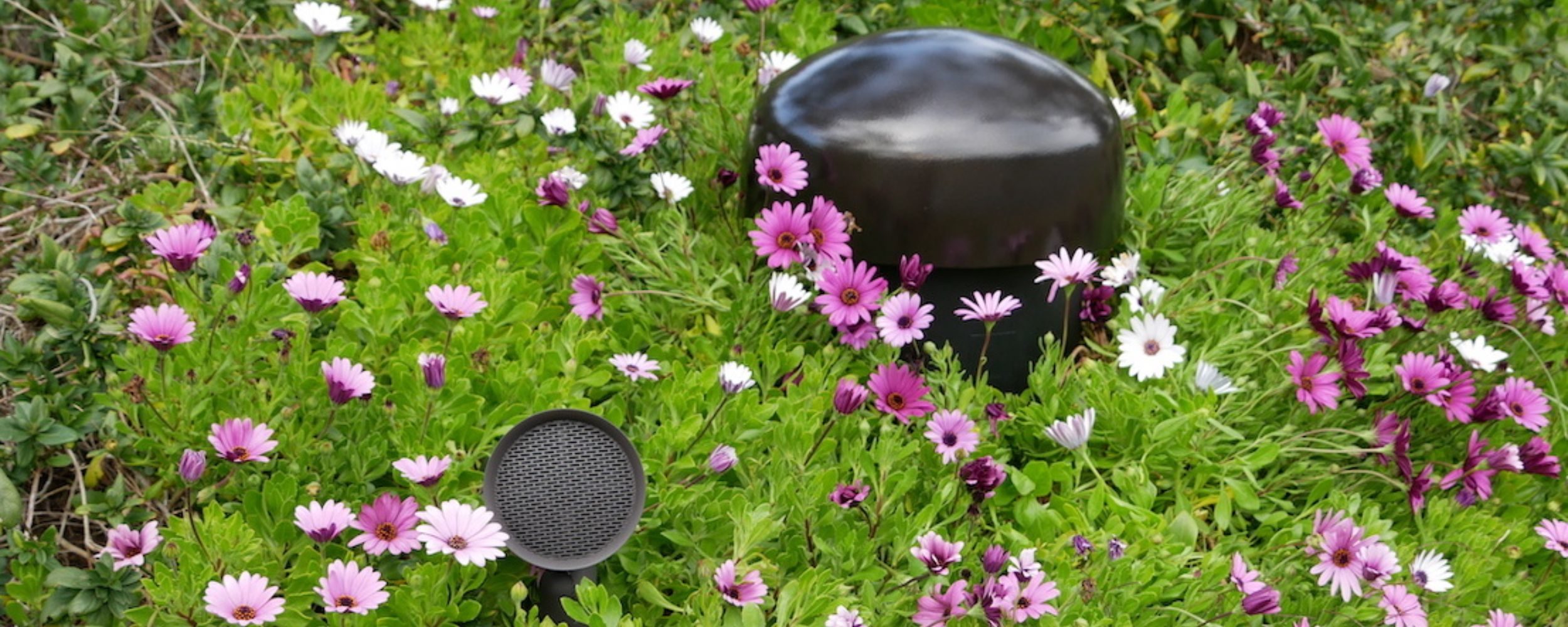 Sonance Landscape Speakers