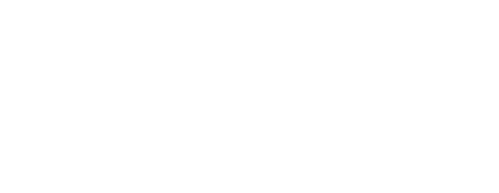 Nora Lighting logo