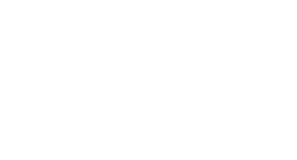 nLight logo